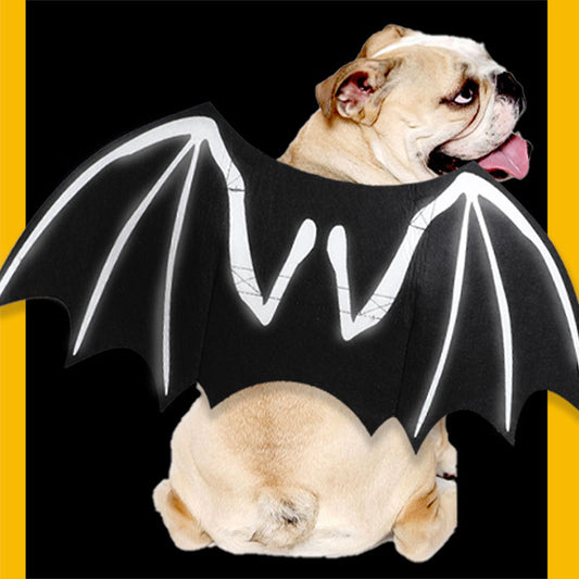 Dog Luminous Bat Wings Transformed Into Costumes