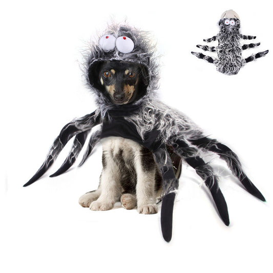 Creative Cats, Dogs And Large Dogs Turn Into Costumes